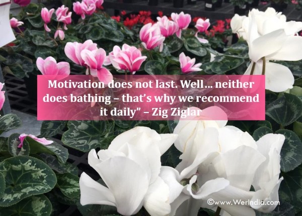 How to stay Motivated
