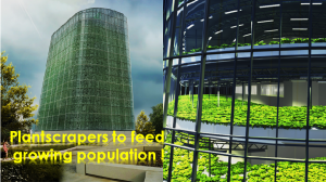 Not skyscrapers, This is Plantscrapers !