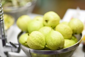 GUAVA - MIRACLE TREE