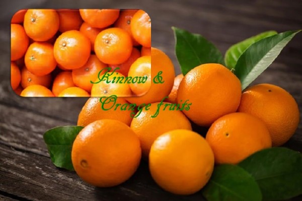 Kinnow and Orange