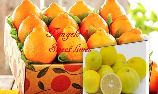 Tangelo and Sweet Limes