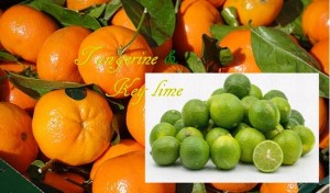Tangerine and Key Lime
