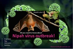 Nipah Virus Outbreak
