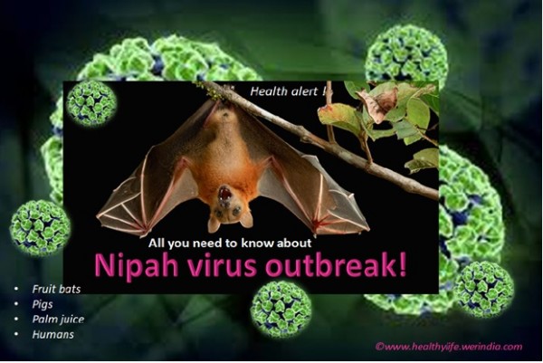 Nipah Virus Outbreak