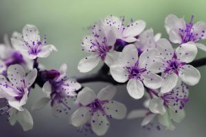 Spring cleaning tips for home