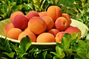 Peach allergy