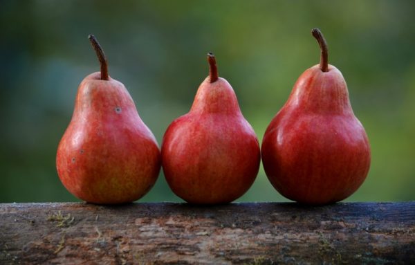 Pear allergy