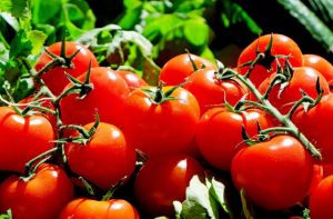 Tomato allergy