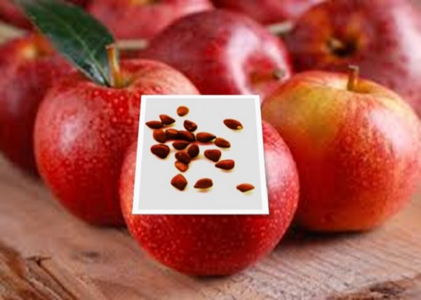 Poison in Apples