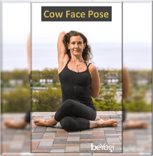 Cow Face Pose