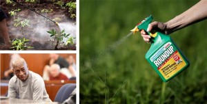 Monsanto to pay $289.2 million in Roundup cancer trial