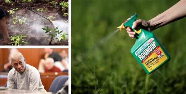 Monsanto to pay $289.2 million in Roundup cancer trial