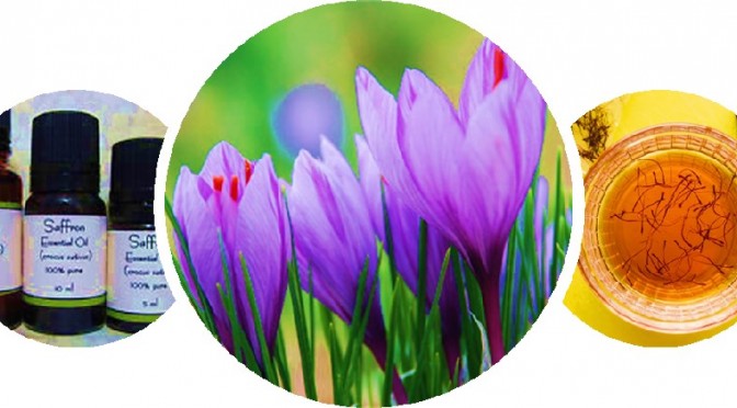 Saffron health benefits