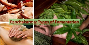 Fomentation types