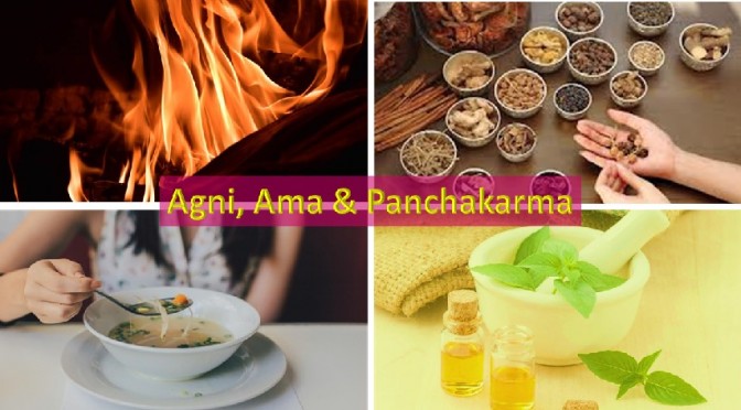 Agni, Ama and Panchakarma therapy