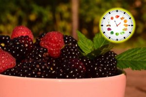Fast 16 hours - Prolonged fasting