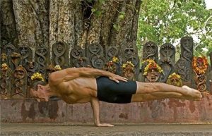 Pungu mayurasana