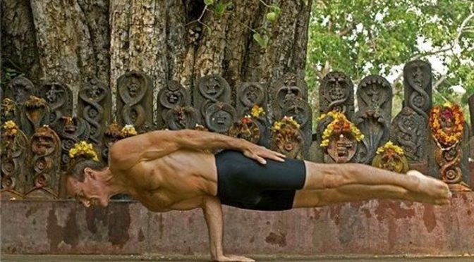 Pungu mayurasana