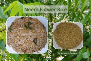 Neem flower rice