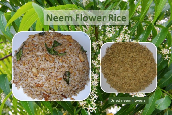 Neem flower rice