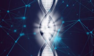HIV1 genome elimination