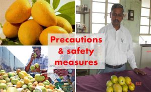 Precautions for artificially ripened fruits consumption