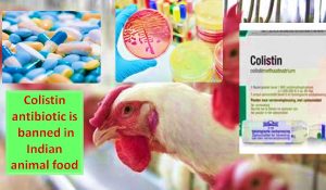 Colistin ban by India