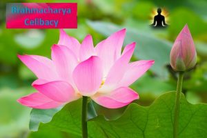 Brahmacharya yama- Celibacy