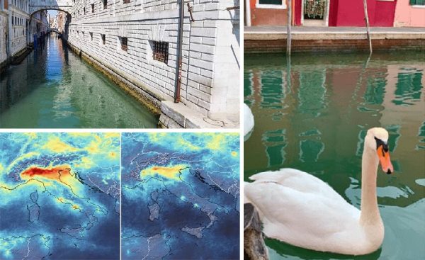Coronavirus & pollution