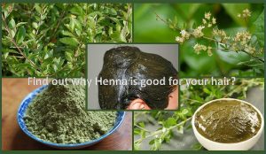 Henna natural hair dye