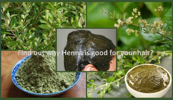 Henna natural hair dye