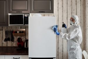 Disinfecting grocery, phone and mail