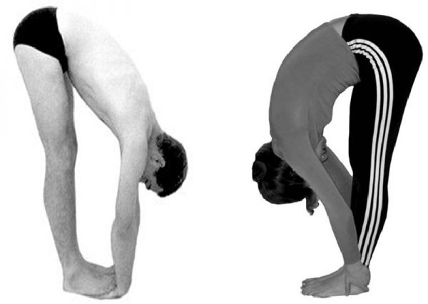 Padahastasana Forward bend pose