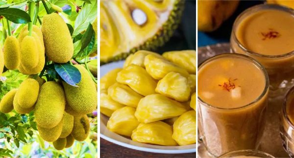 Jackfruit payasam dessert
