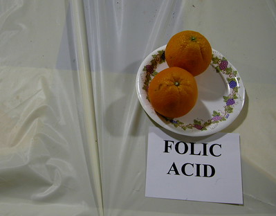 Top 10 facts about folic acid your women patients should know