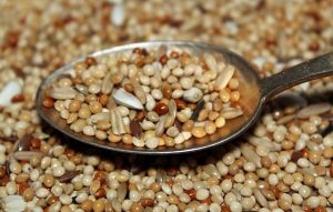How to prepare sattu