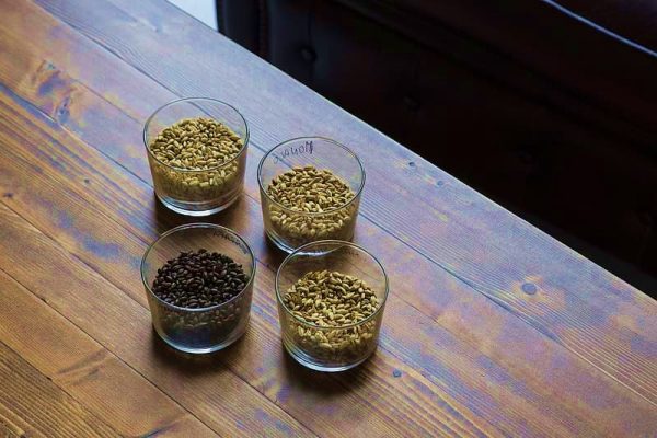 Nutrition and health benefits of sattu