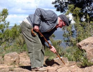 Immune system changes in older people