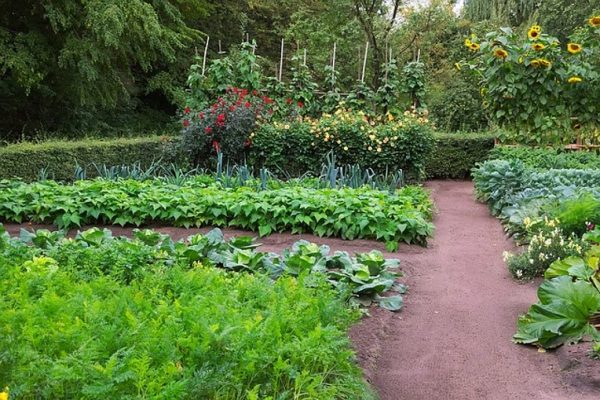 Community Supported Agriculture