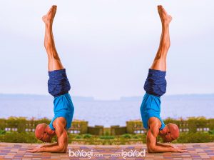 Feathered Peacock Pose