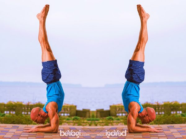 Feathered Peacock Pose