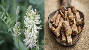 Licorice Jeshtamadhu benefits