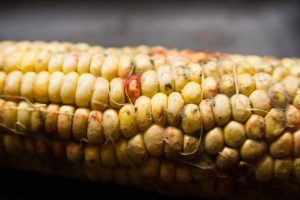 Types of mycotoxins