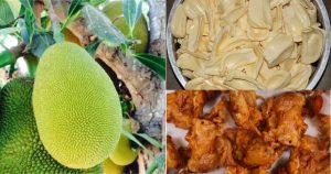 jackfruit pakora recipe