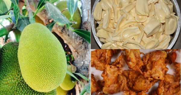 jackfruit pakora recipe