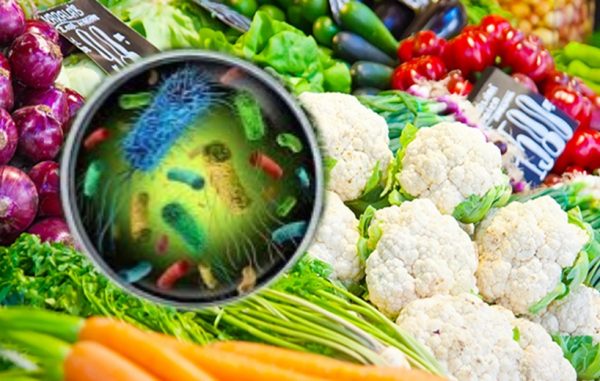 Listeria foodborne pathogen