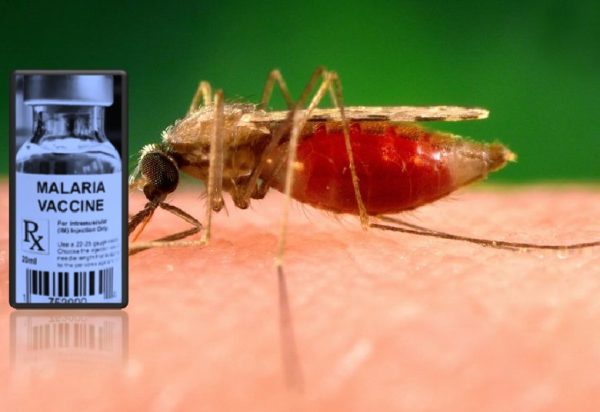 Malaria vaccine