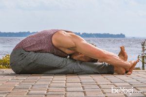 Sitting forward bend pose