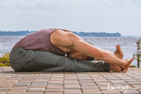 Sitting forward bend pose