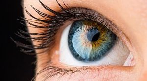 Glaucoma prevention and diet tips